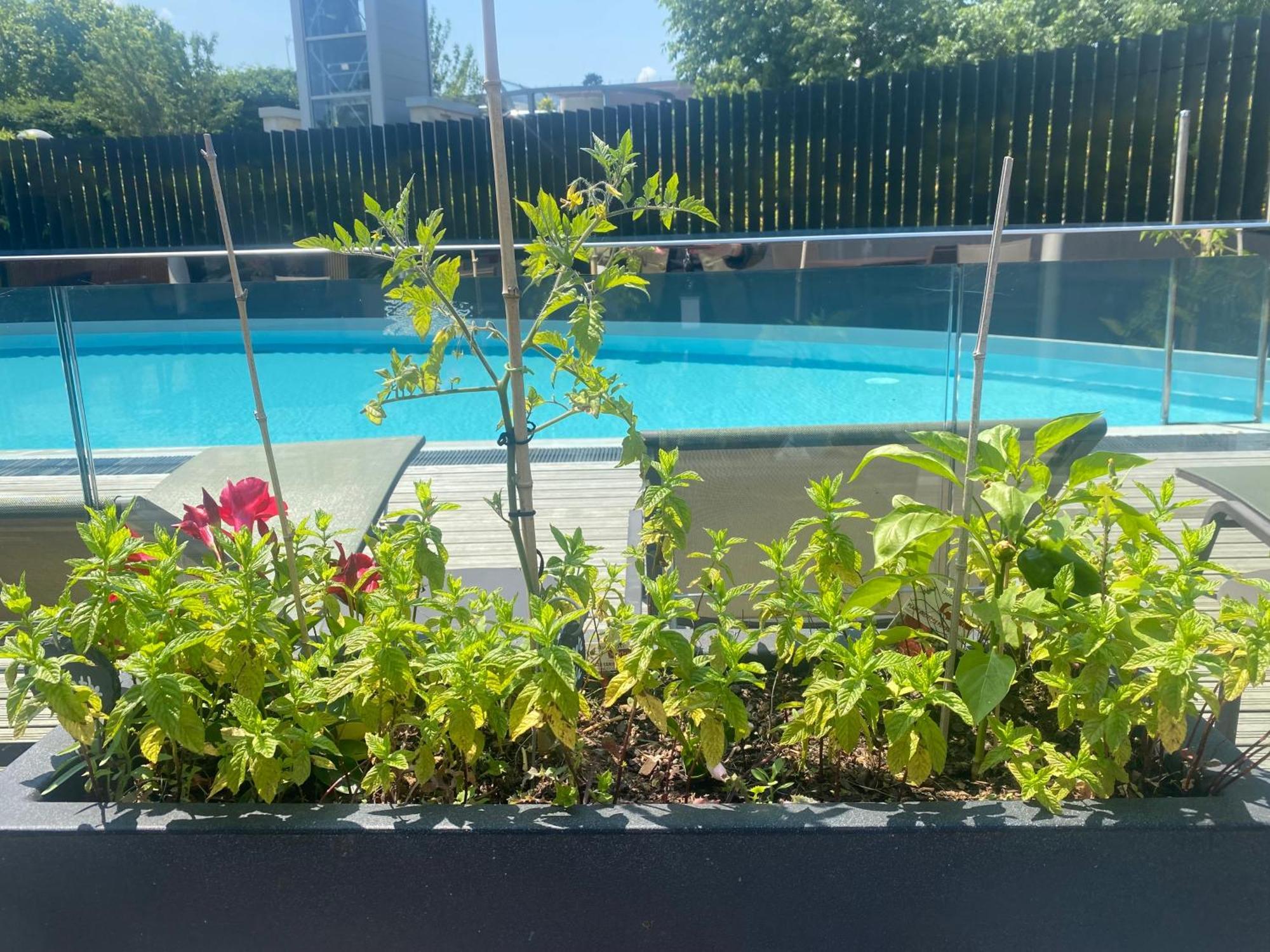 Radisson Blu Hotel, Montpellier Eksteriør billede